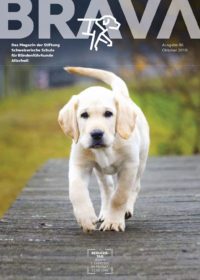 Brava Nr. 86/2019 - Zeitschrift der Allschwiler Blindenhundeschule