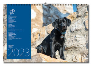 Cover Kalender 2023 mit Ringbindung