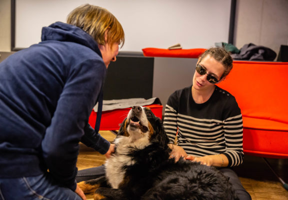 Halterin mit Berner Sennenhund zeigt an Prüfung, dass ihr Hund sich von Fremden streicheln lässt