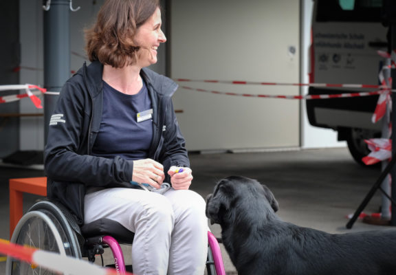 Open Day at the Guide Dogs for the Blind School, 2018