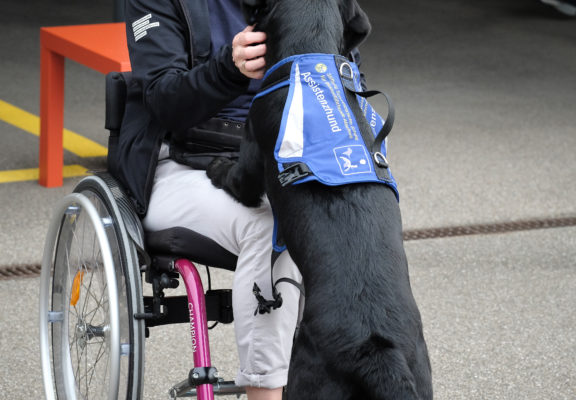 Journée portes ouvertes 2018 à l'école pour chiens d'aveugles