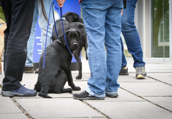 Journée portes ouvertes 2018 à l'école pour chiens d'aveugles