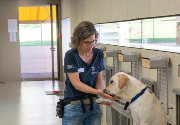 Giornata delle porte aperte 2023 della scuola per cani guida per ciechi