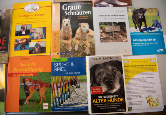 Bücher zum Thema Seniorenhund